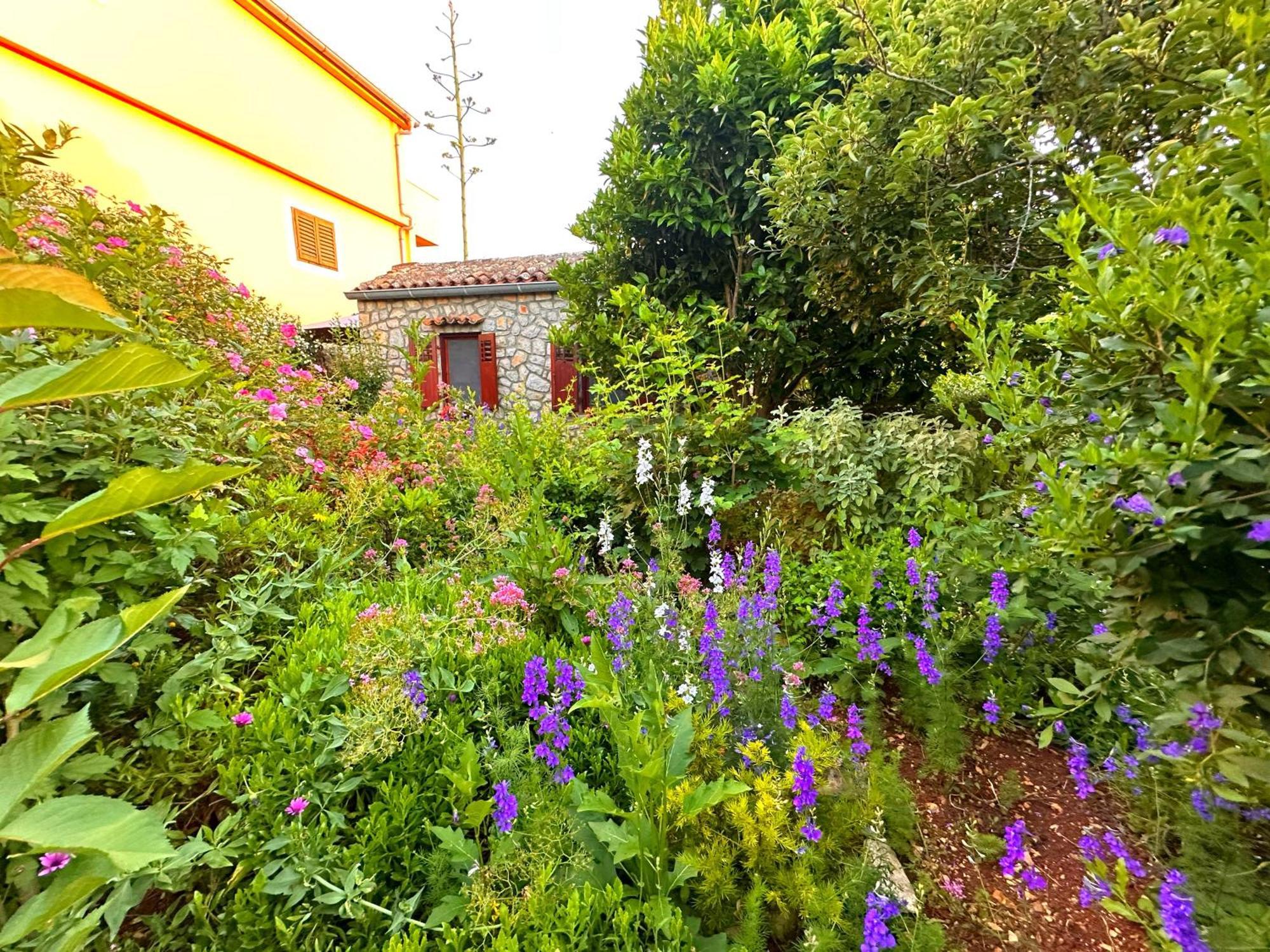 Apartments Cvita Veli Lošinj Extérieur photo