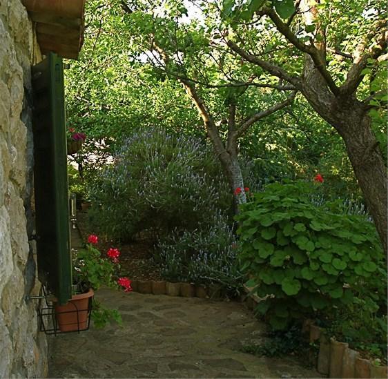 Apartments Cvita Veli Lošinj Extérieur photo